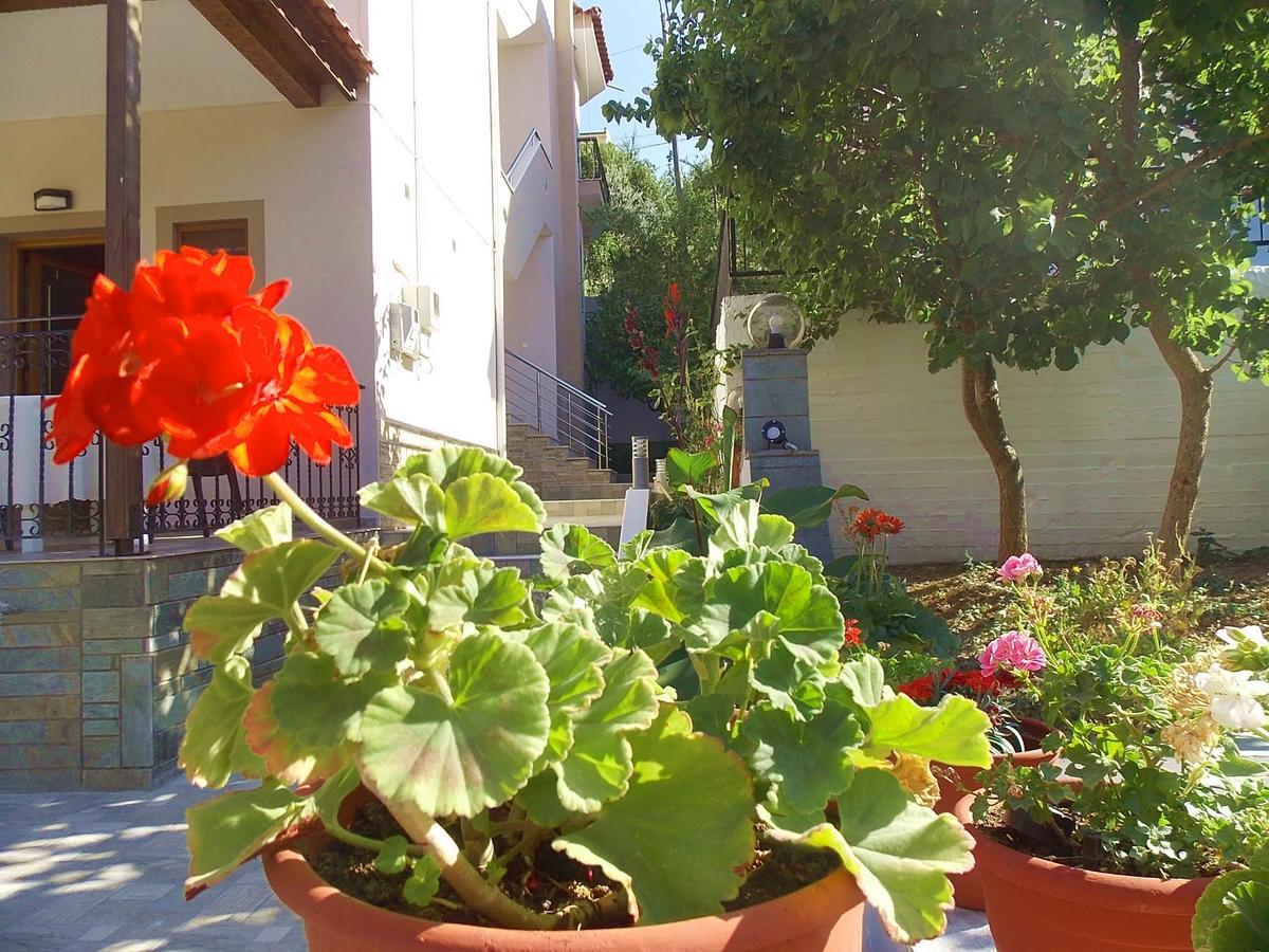 Studios Kentia Skála Marión Dış mekan fotoğraf